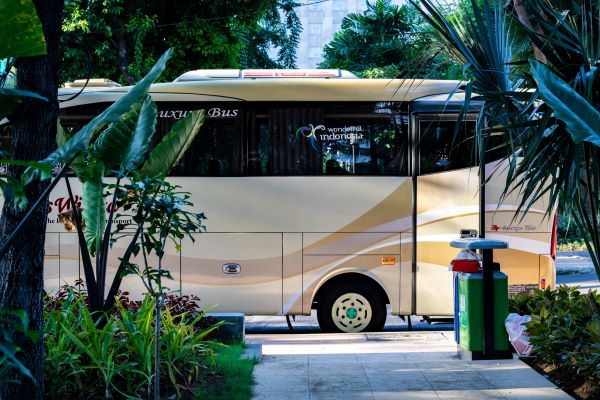 Minneapolis limo bus service